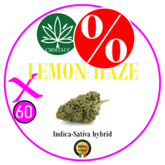 LEMON HAZE X HHCP-M 60% 10g *OUTLET
