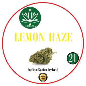 LEMON HAZE CBD 21% THC<0,3%