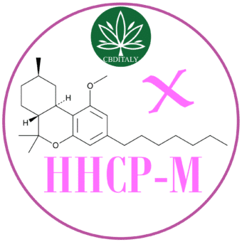 HHCP-M