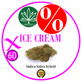 ICE CREAM X HHCP-M 60% 10g *OUTLET
