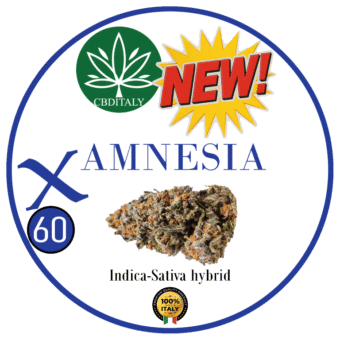 AMNESIA X THCVO 60%