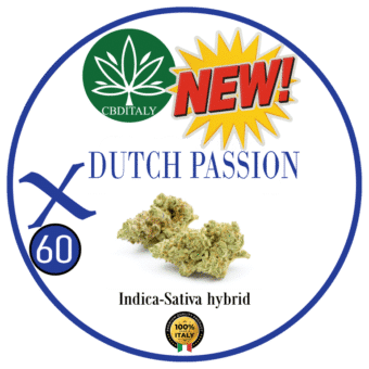 CBG DUTCH PASSION X THCVO 60%