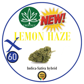 LEMON HAZE X THCVO 60%