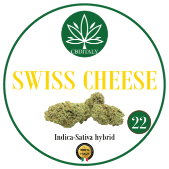 SWISS CHEESE CBD 22% THC<0,3%
